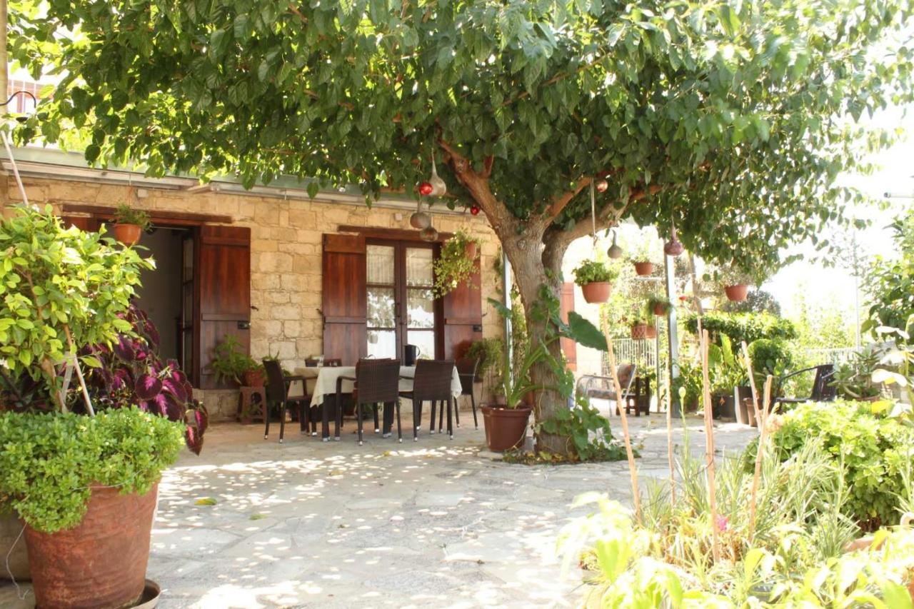 Fyti Georgia'S House Bed & Breakfast エクステリア 写真
